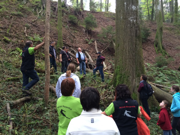 gemuetlicher waldgang 4 20141004 1775934595 gemuetlicher waldgang 4 20141004 1775934595