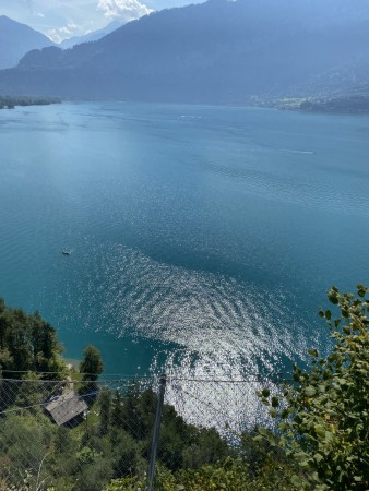 IMG 9880