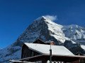 grindelwald29