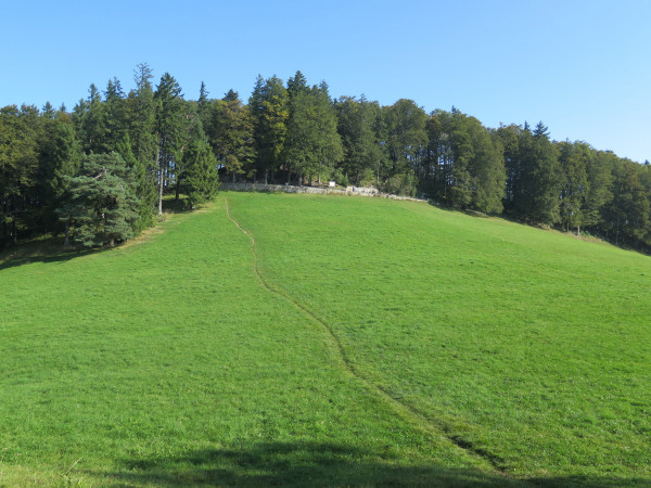 herbswanderung 2016 4 20161120 1202405076 herbswanderung 2016 4 20161120 1202405076
