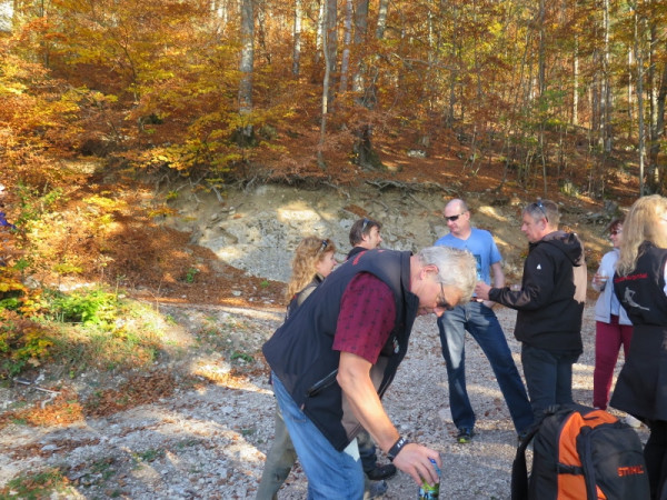 herbstwanderung 2017 1 20171204 2051490537