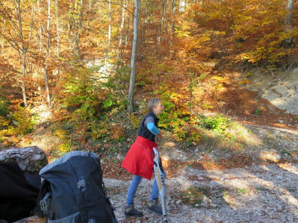 herbstwanderung 2017 2 20171204 2053096377 herbstwanderung 2017 2 20171204 2053096377