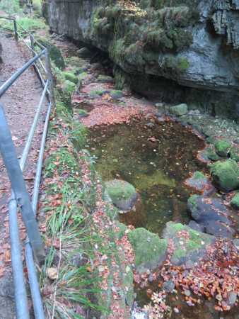 herbstwanderung 2017 3 20171204 1168364643 herbstwanderung 2017 3 20171204 1168364643