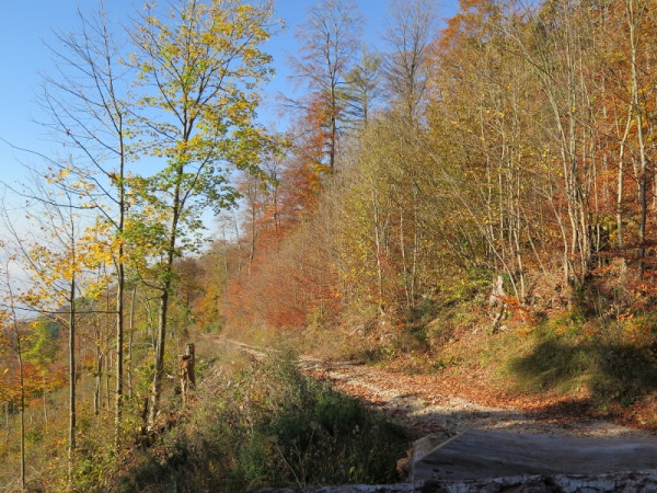 herbstwanderung 2017 3 20171204 2034822497 herbstwanderung 2017 3 20171204 2034822497