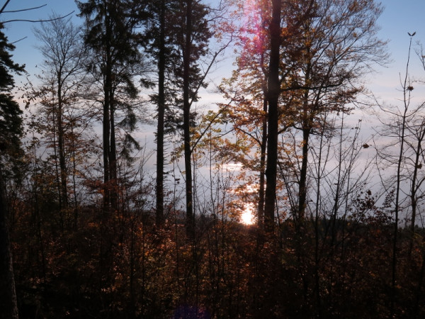herbstwanderung 2017 5 20171204 1227791490 herbstwanderung 2017 5 20171204 1227791490