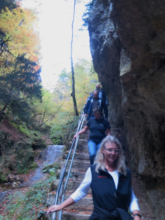 herbstwanderung 2017 6 20171204 1661087385 herbstwanderung 2017 6 20171204 1661087385