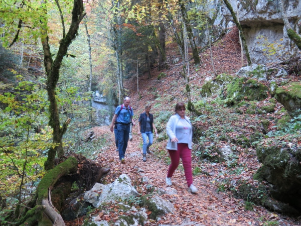 herbstwanderung 2017 6 20171204 2050129385 herbstwanderung 2017 6 20171204 2050129385